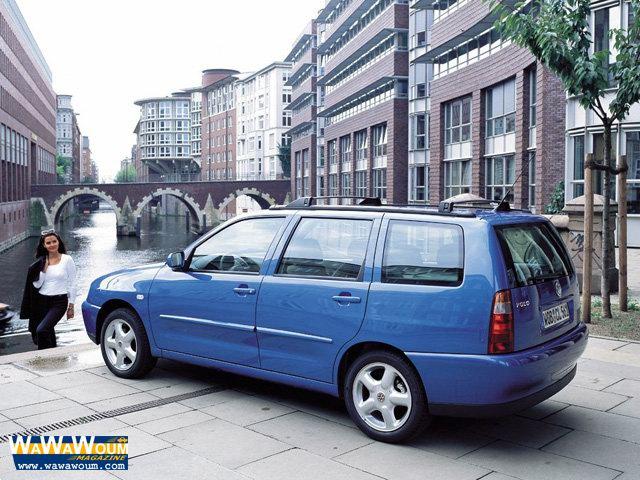 2000_polo_variant_5.jpg
