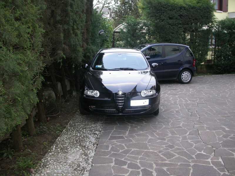 Ale3.jpg