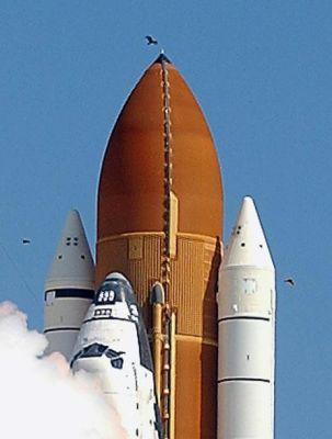 ap65647652707075017_big.jpg