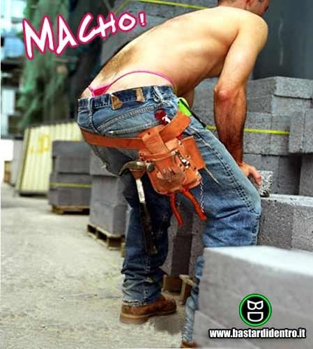 BD177-Macho.jpg