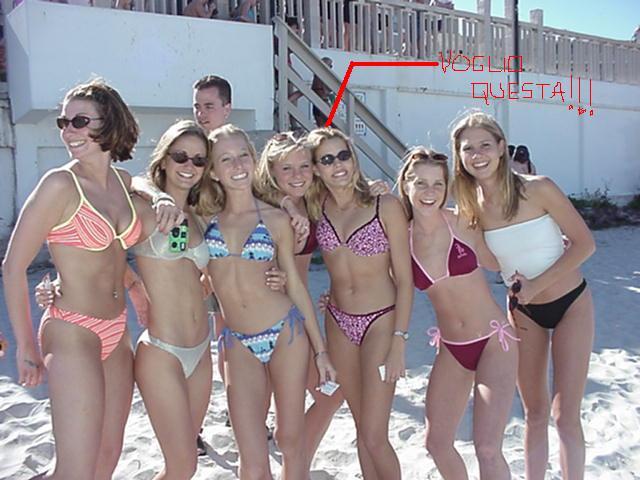 beachbabesbikinis.jpg