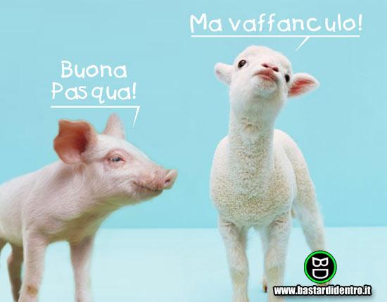 buonapasqua.jpg