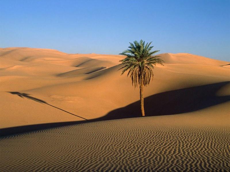 Deserto.jpg