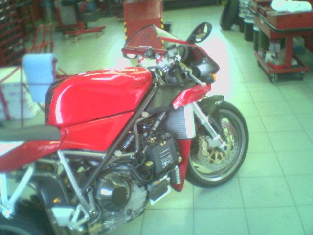 ducatir.jpg