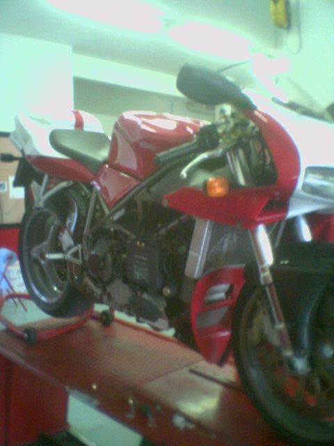 ducatirad.jpg