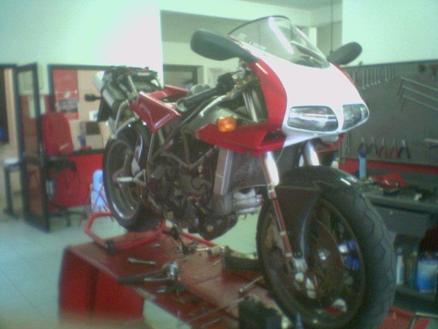 ducatiradi.jpg