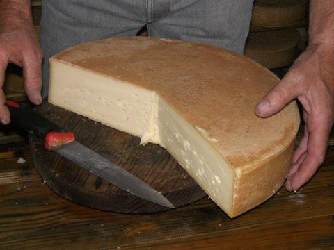 fontina.jpg