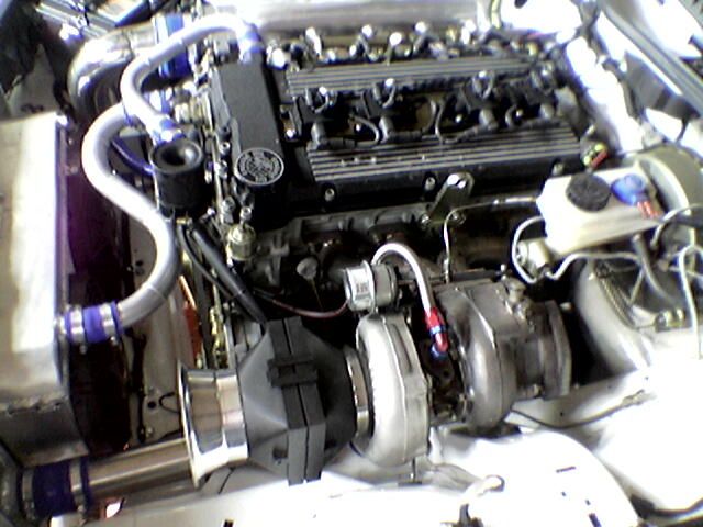 Immag047.jpg