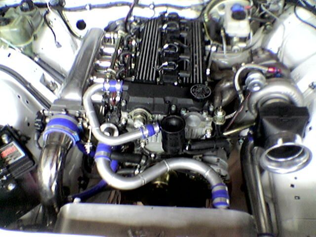 Immag050.jpg