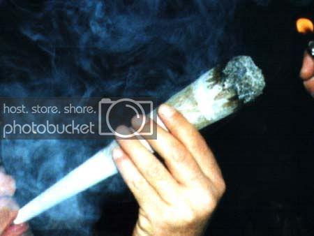 joint_riesig_1.jpg