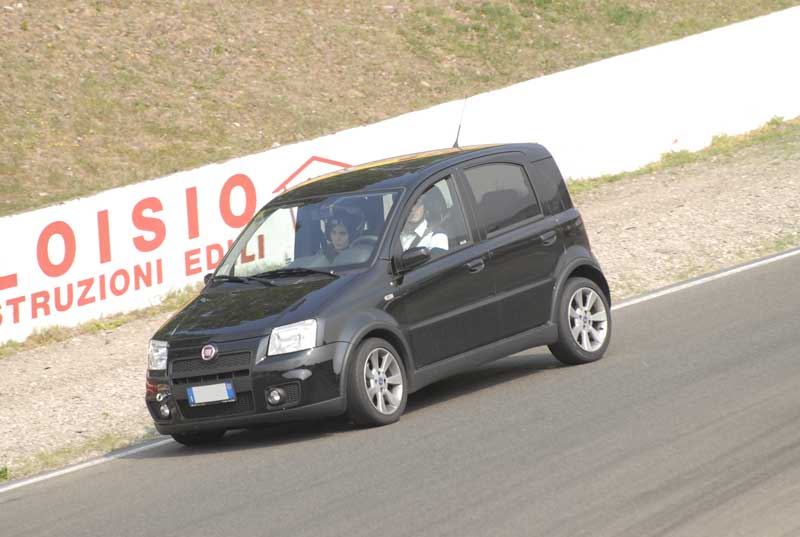 lelesch81-100hp-Var0701.jpg