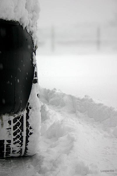 looper_neve06_12.jpg