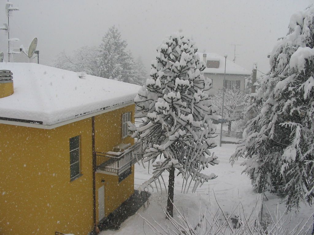 neve009.jpg