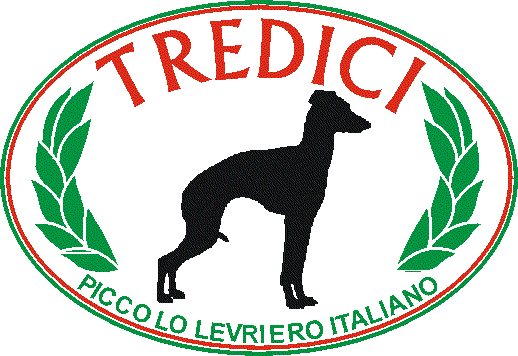 TREDICI%20LOGO.gif