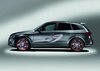 big_AudiQ5CustomConcept_10.jpg