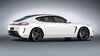 big_gemballamistraleporschepanamera03.jpg