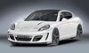 big_gemballamistraleporschepanamera02.jpg