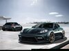 big_MansoryPorschePanamera_01.jpg